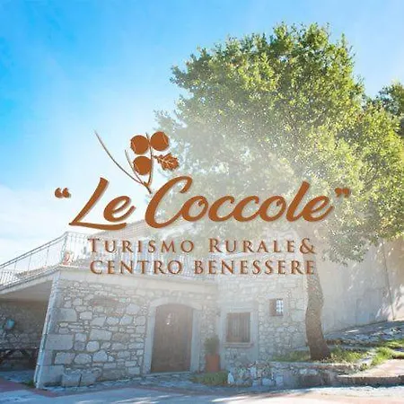 Le Coccole-2